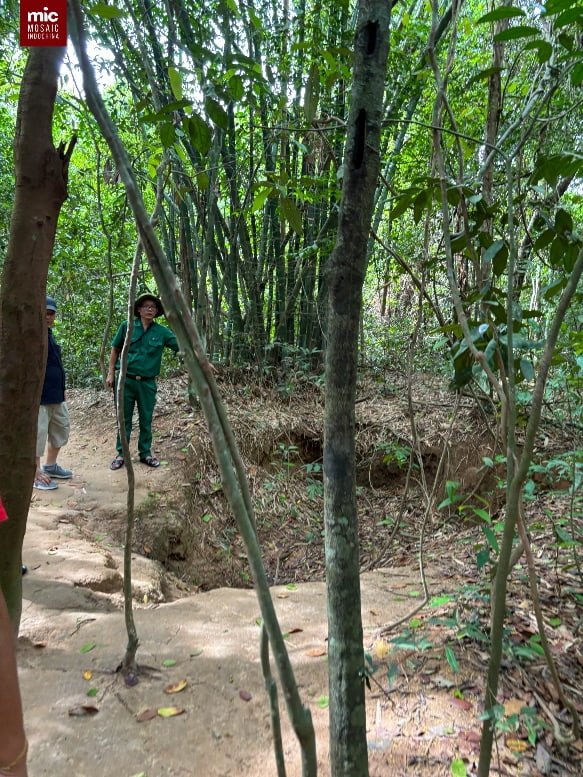 Cu Chi Tunnels, one of the most significant places to observe the history of the Vietnam War