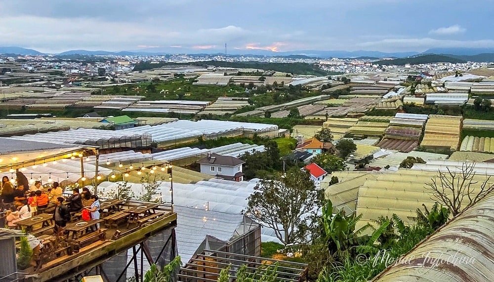 Scenic landscape of vegetable plantations in Dalat, a popular tourist destination in Vietnam