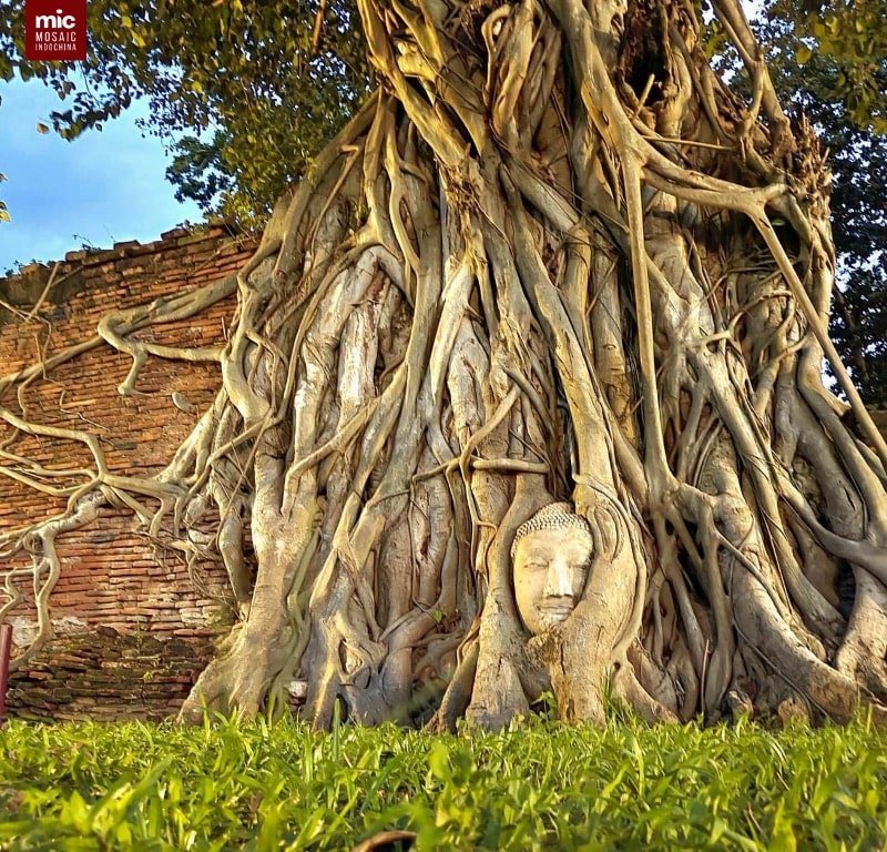 Wat Mahathat, a temple you must explore in Ayutthaya