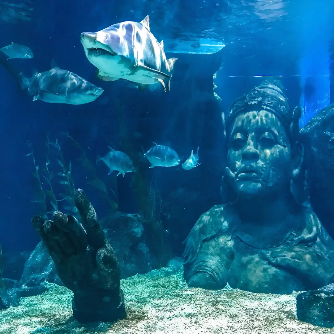 SEA LIFE Bangkok Ocean World at Siam Paragon, one of the most popular tour attractions in Bangkok