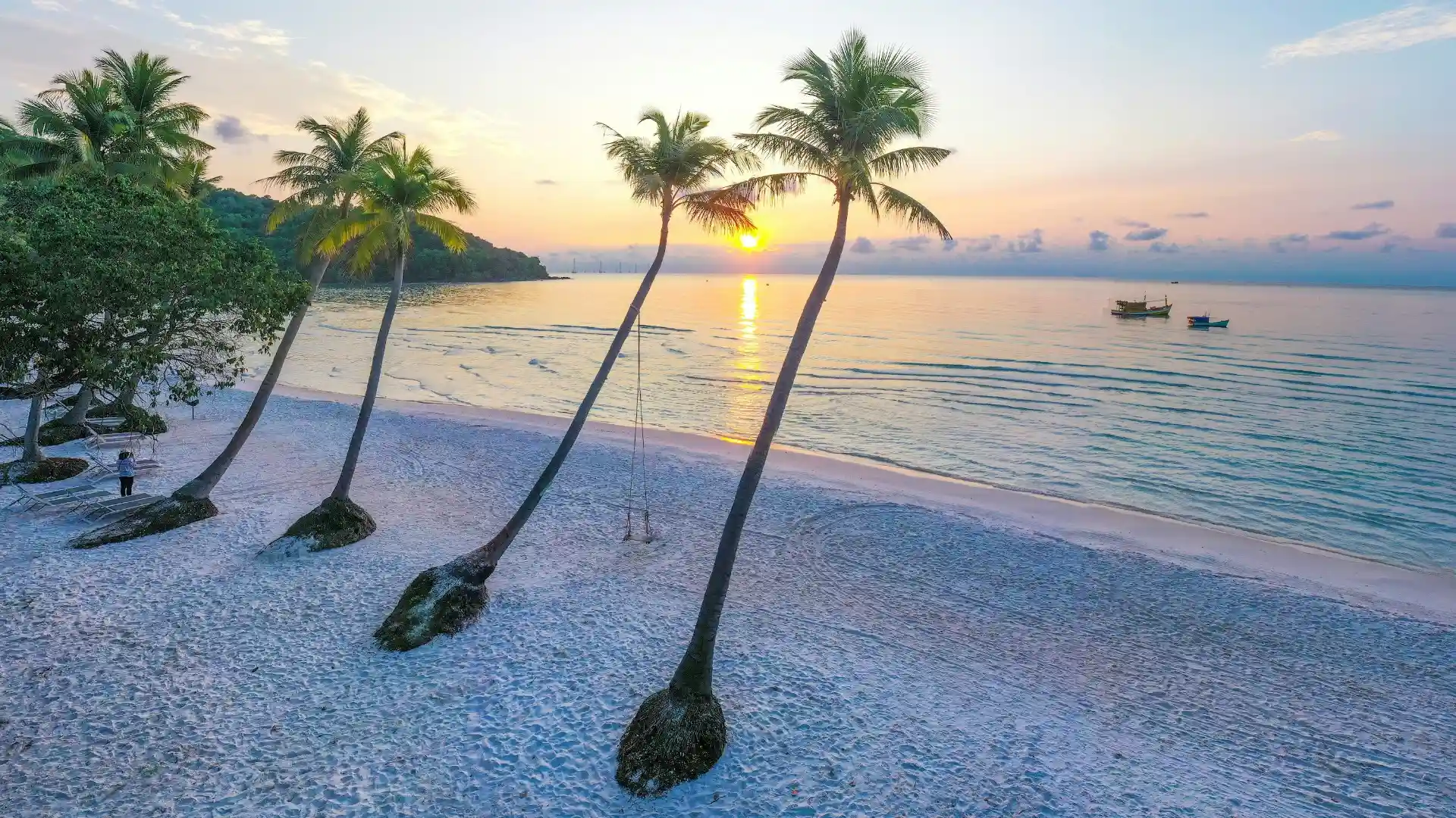 Leaning coconut trees at Sao Beach in Phu Quoc, a must-visit place in Vietnam