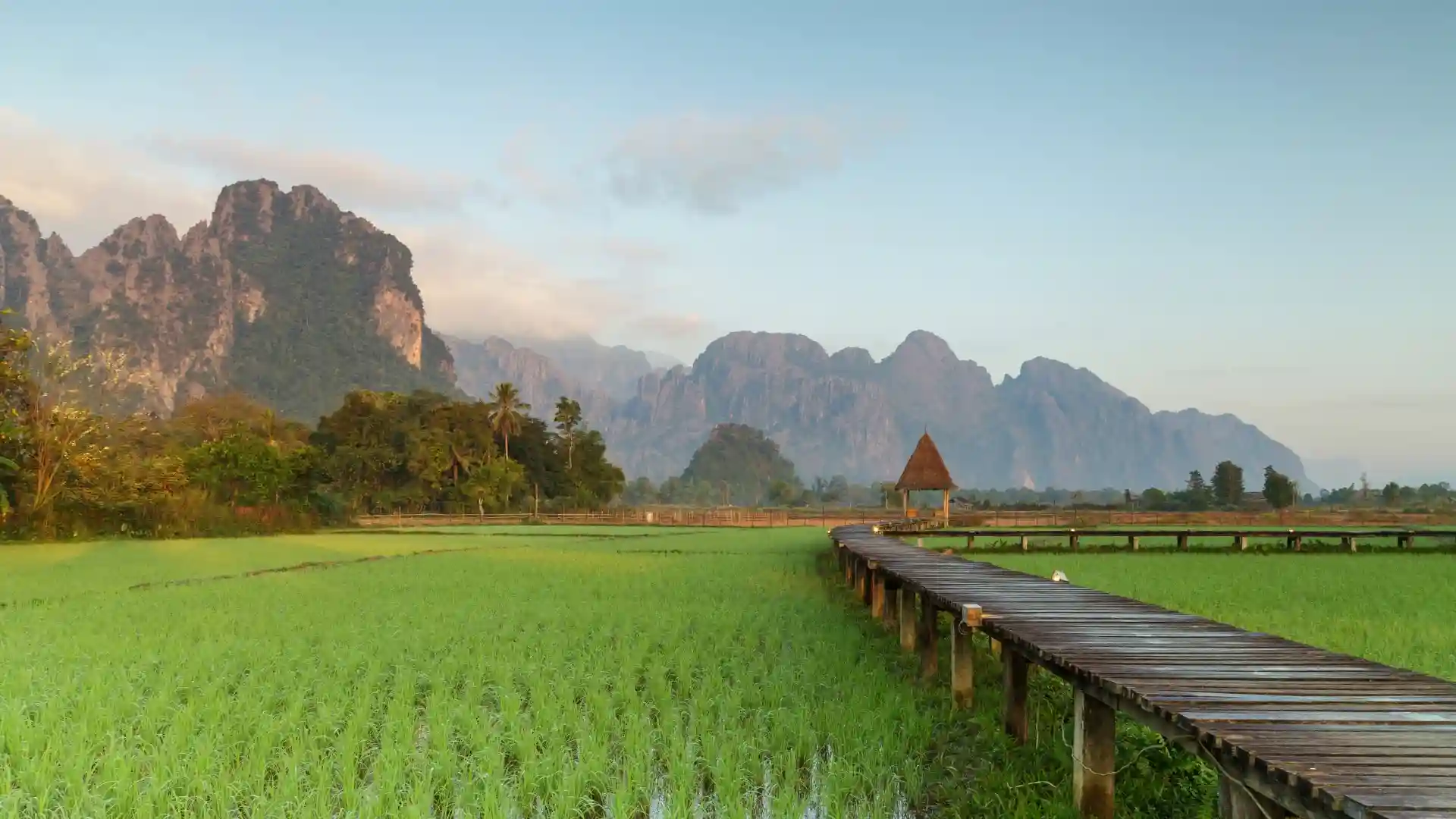 Rice fields near Vang Vieng, a top destination with breathtaking landscapes and fun, adverturous activities in Laos